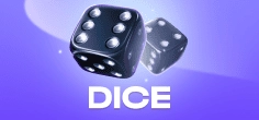 Dice