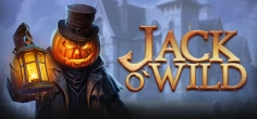 Jack O'Wild