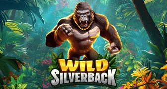 Wild Silverback